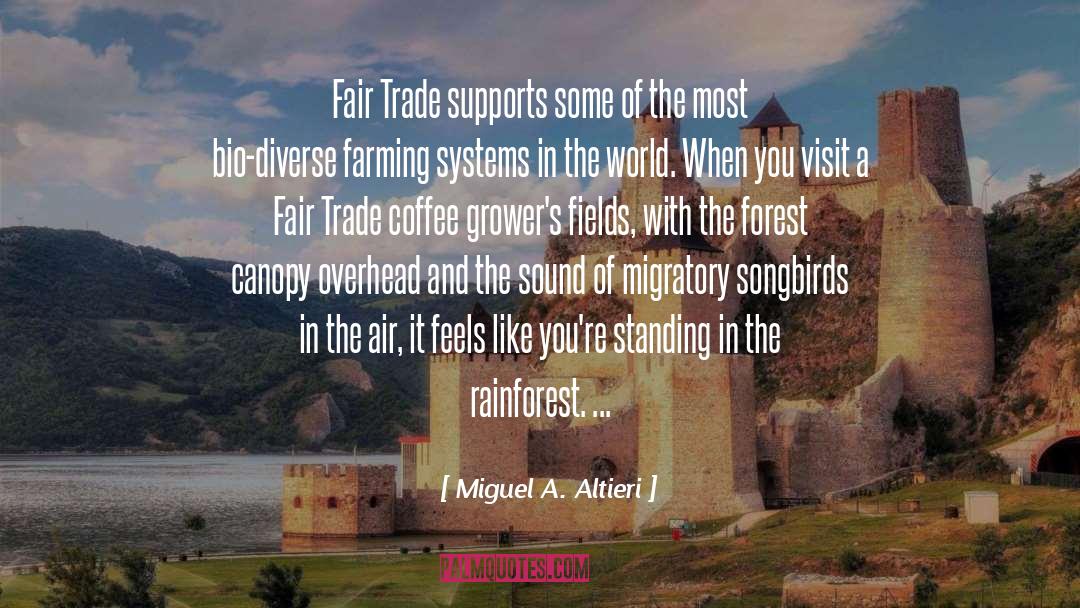 Rainforest quotes by Miguel A. Altieri