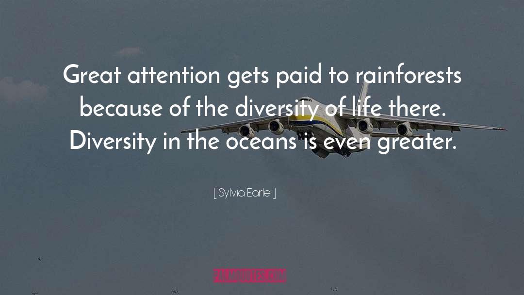 Rainforest quotes by Sylvia Earle