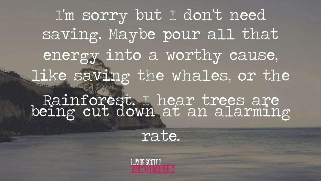 Rainforest quotes by Jayde Scott