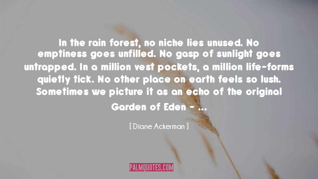 Rainforests quotes by Diane Ackerman