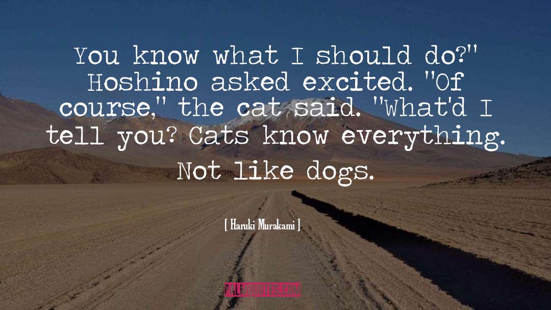 Raining Cats And Dogs Full quotes by Haruki Murakami