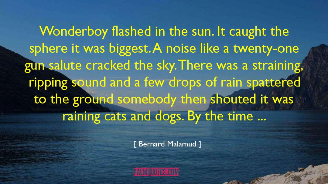 Raining Cats And Dogs Full quotes by Bernard Malamud