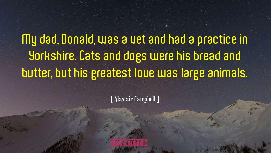 Raining Cats And Dogs Full quotes by Alastair Campbell