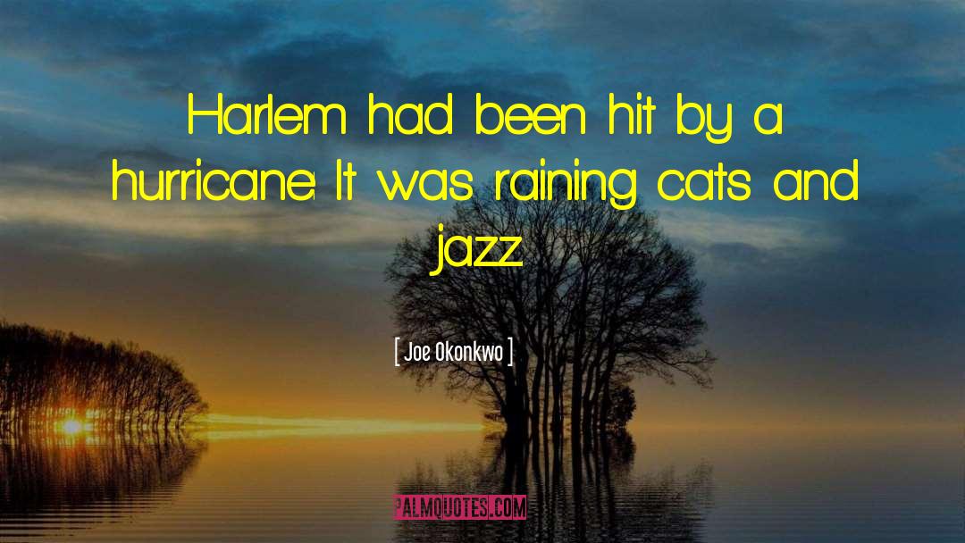 Raining Cats And Dogs Full quotes by Joe Okonkwo