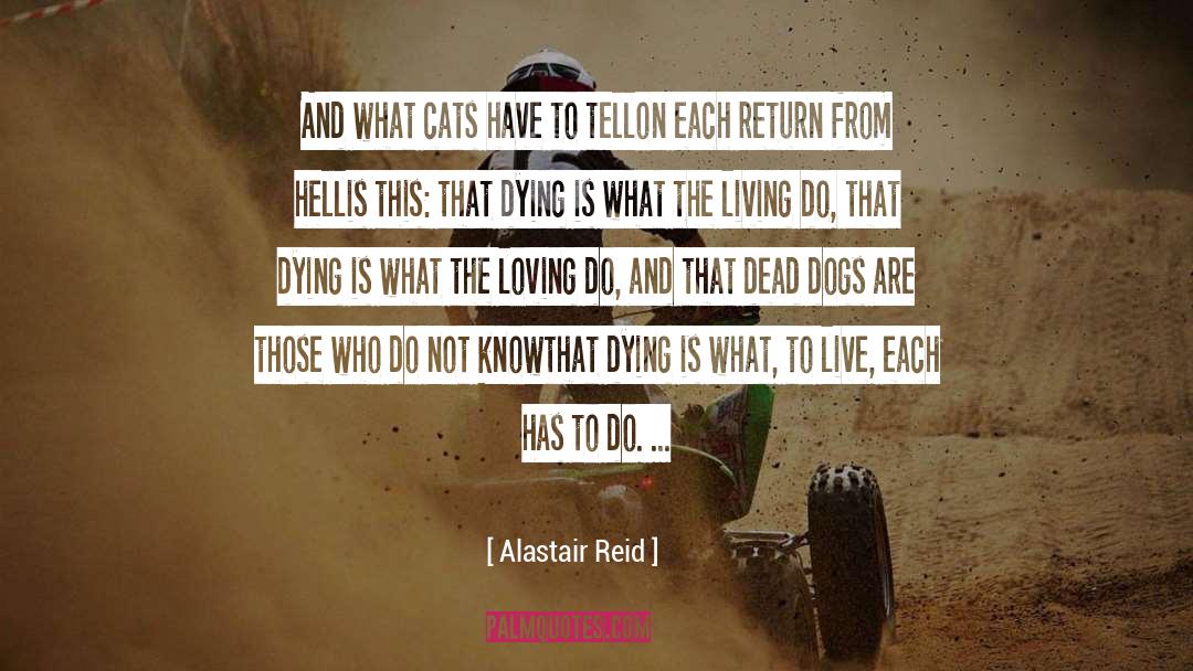 Raining Cats And Dogs Full quotes by Alastair Reid