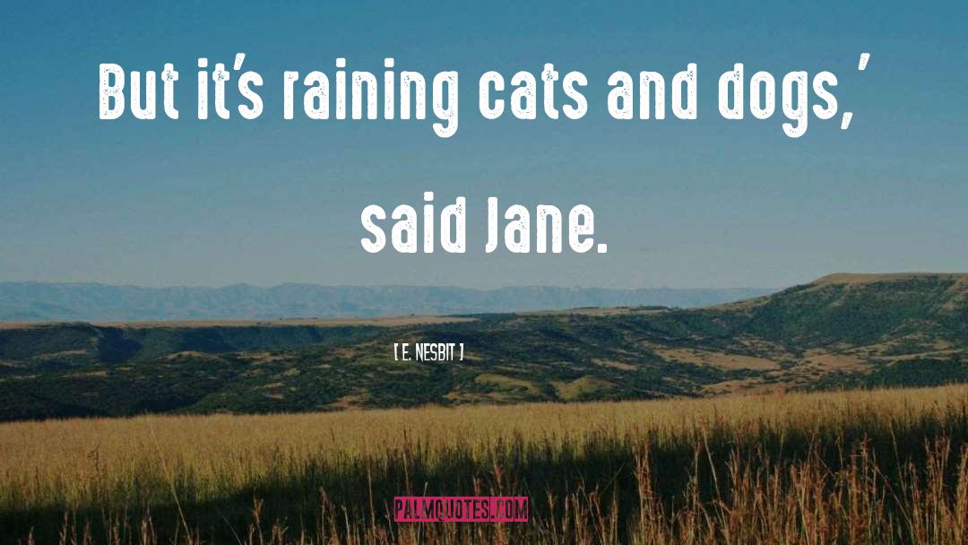 Raining Cats And Dogs Full quotes by E. Nesbit