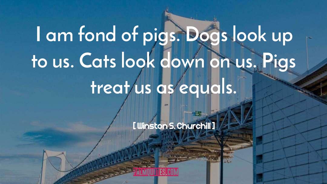 Raining Cats And Dogs Full quotes by Winston S. Churchill