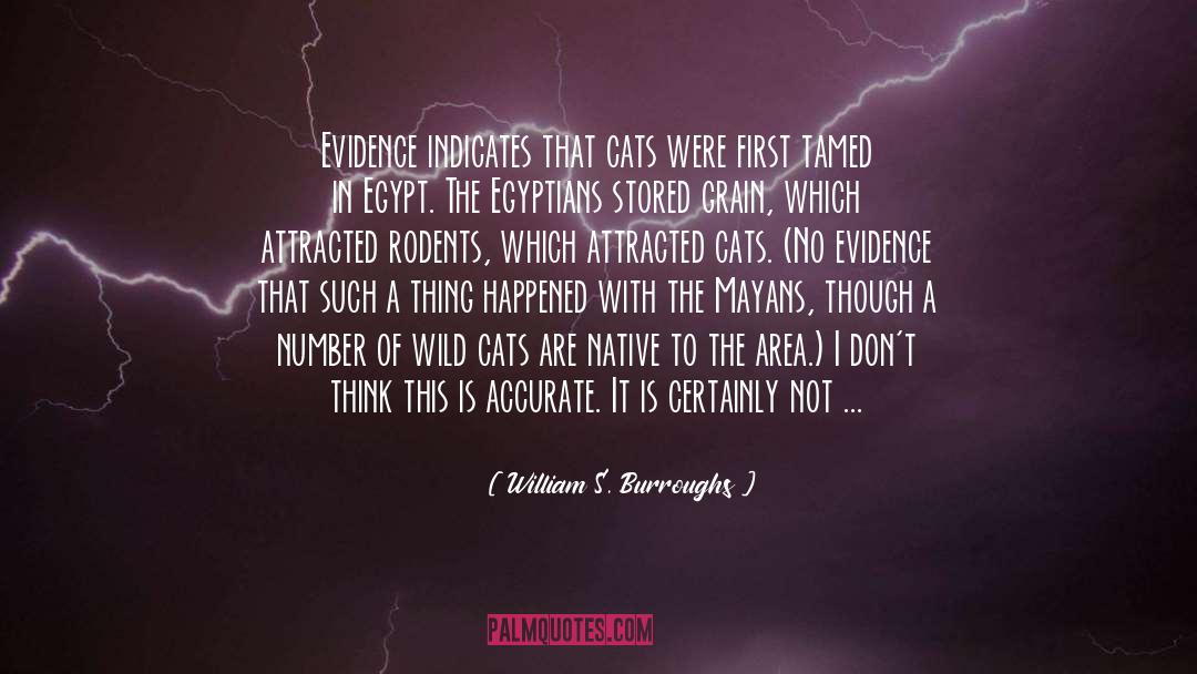 Raining Cats And Dogs Full quotes by William S. Burroughs