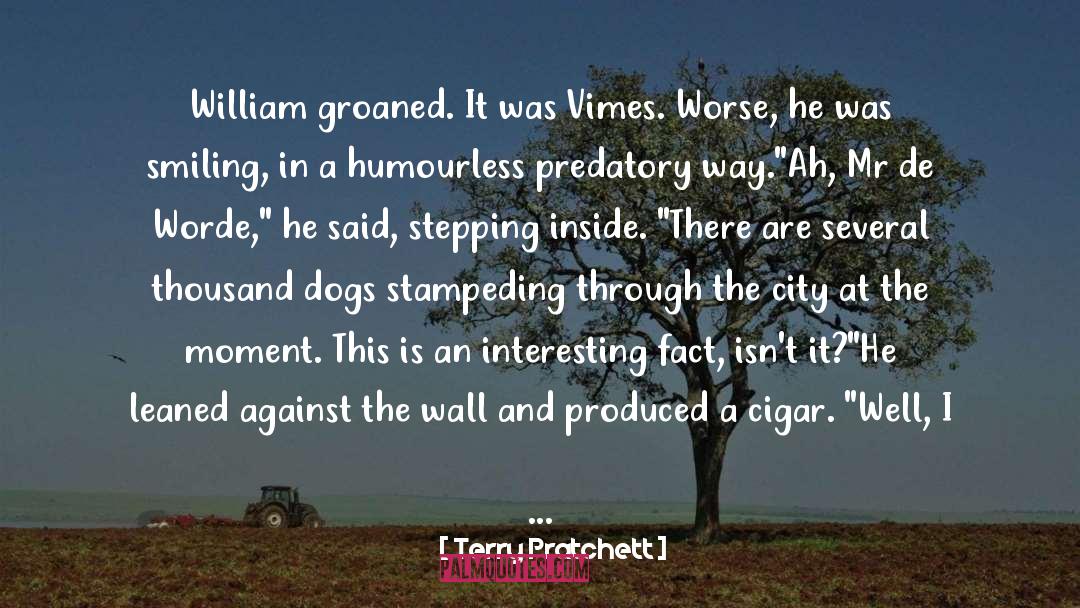 Raining Cats And Dogs Full quotes by Terry Pratchett