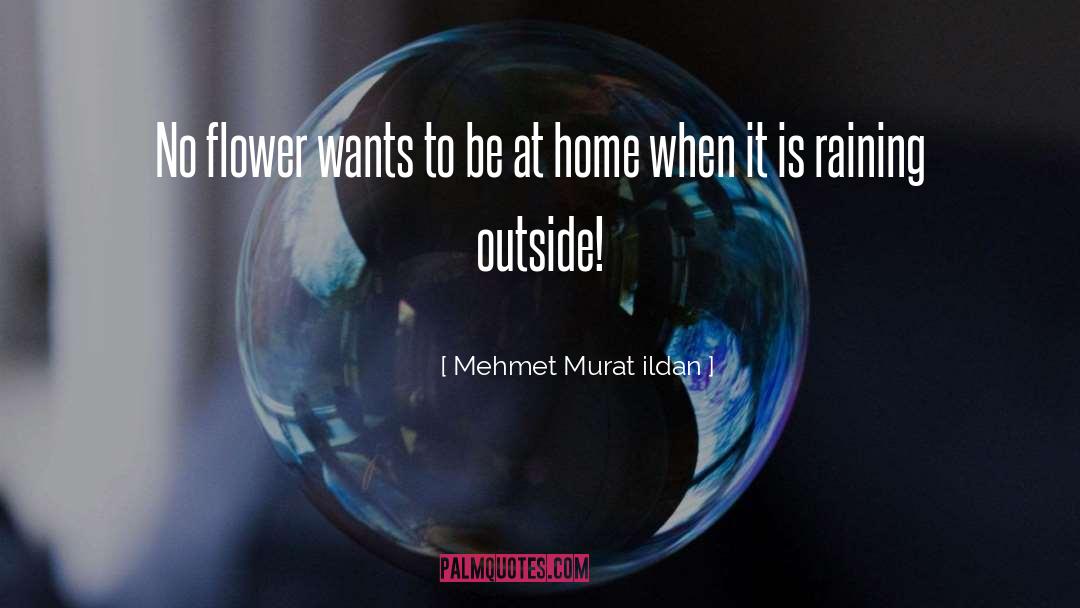 Raining quotes by Mehmet Murat Ildan