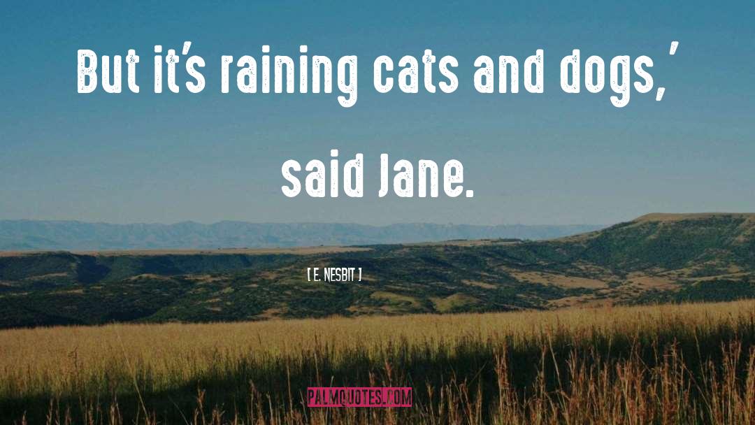 Raining quotes by E. Nesbit