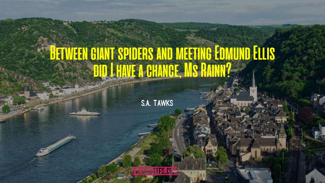 Rainn quotes by S.A. Tawks