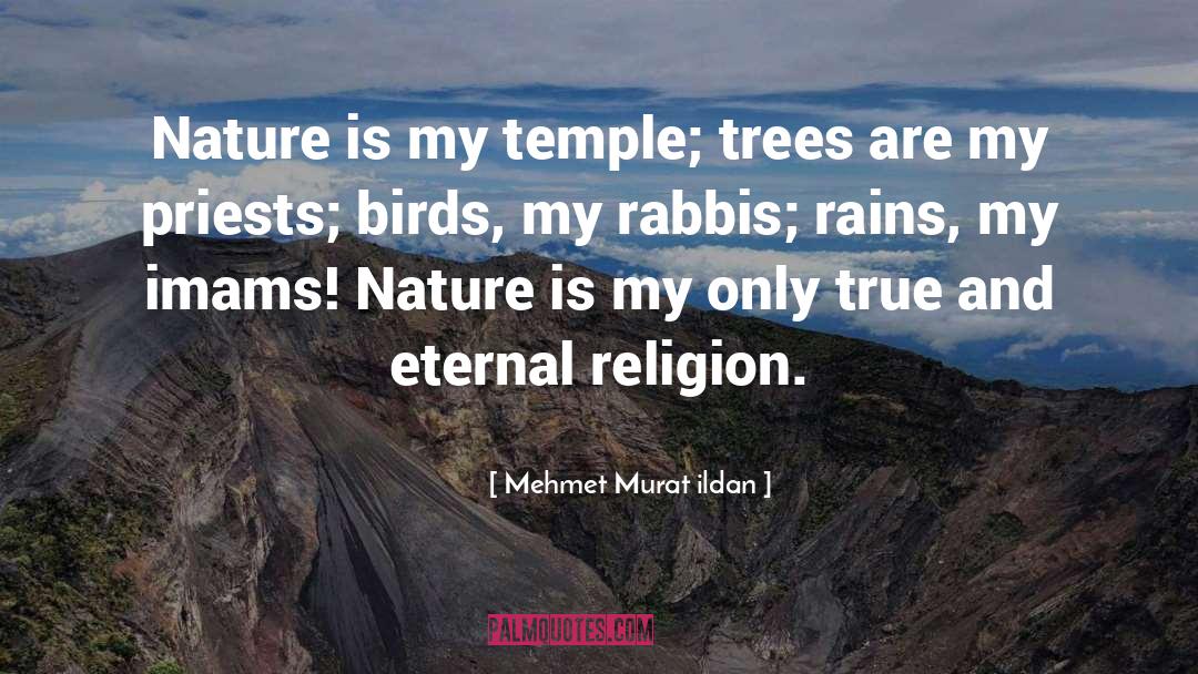Rains quotes by Mehmet Murat Ildan