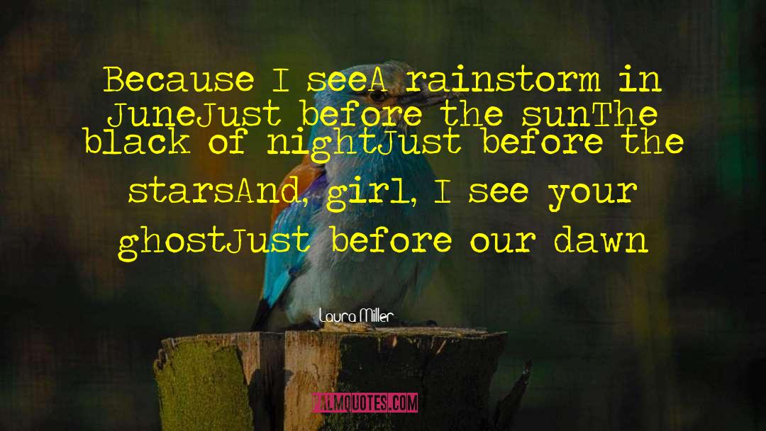 Rainstorm quotes by Laura Miller