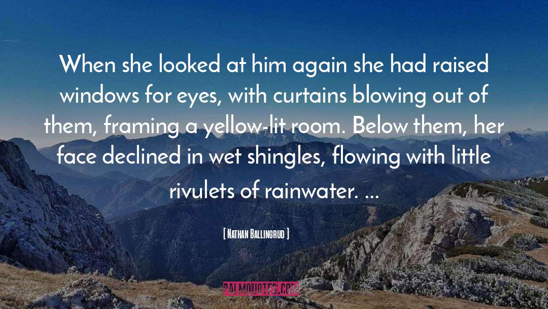 Rainwater quotes by Nathan Ballingrud