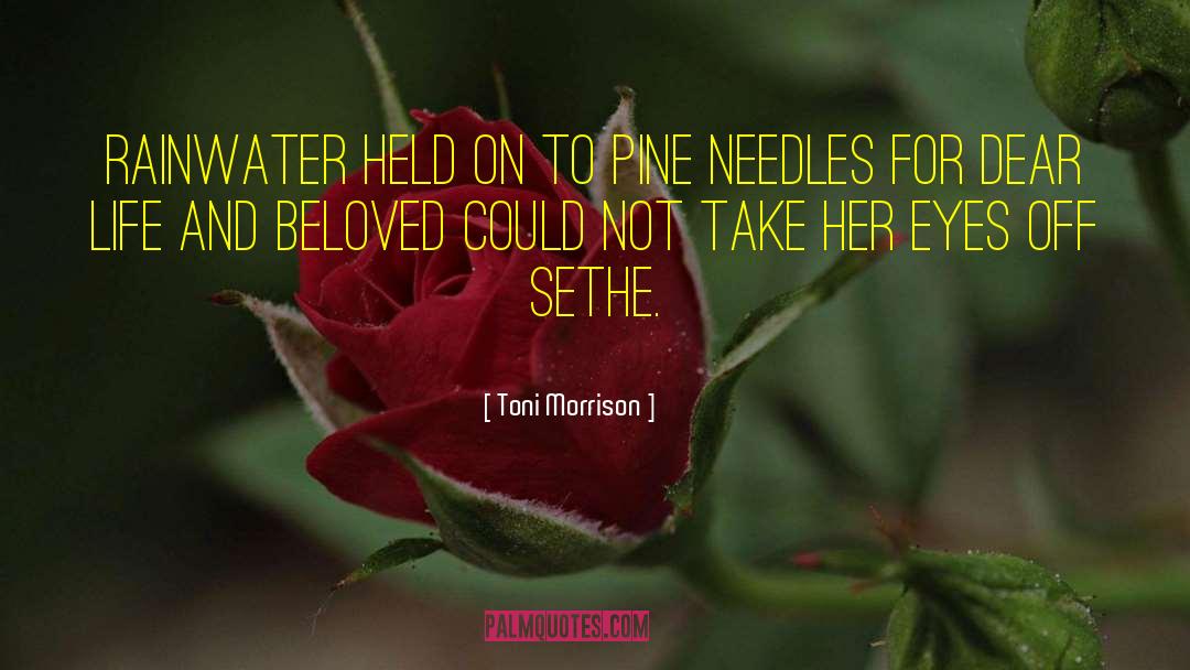 Rainwater quotes by Toni Morrison