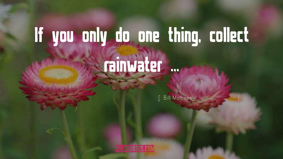 Rainwater quotes by Bill Mollison