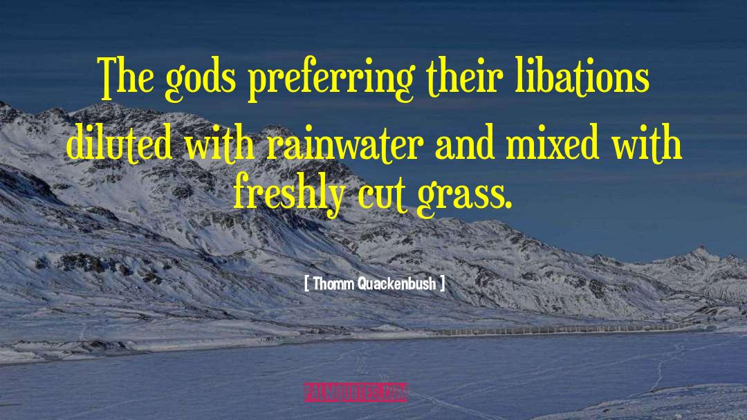 Rainwater quotes by Thomm Quackenbush