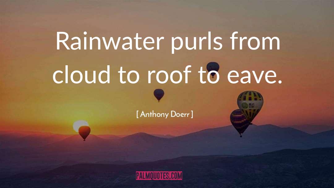 Rainwater quotes by Anthony Doerr