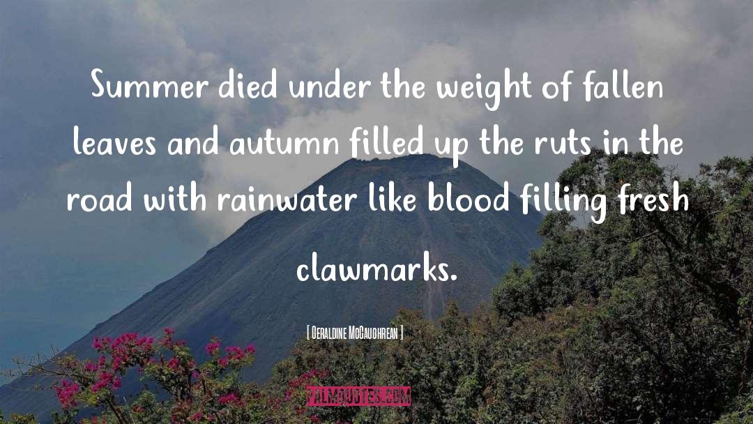 Rainwater quotes by Geraldine McCaughrean