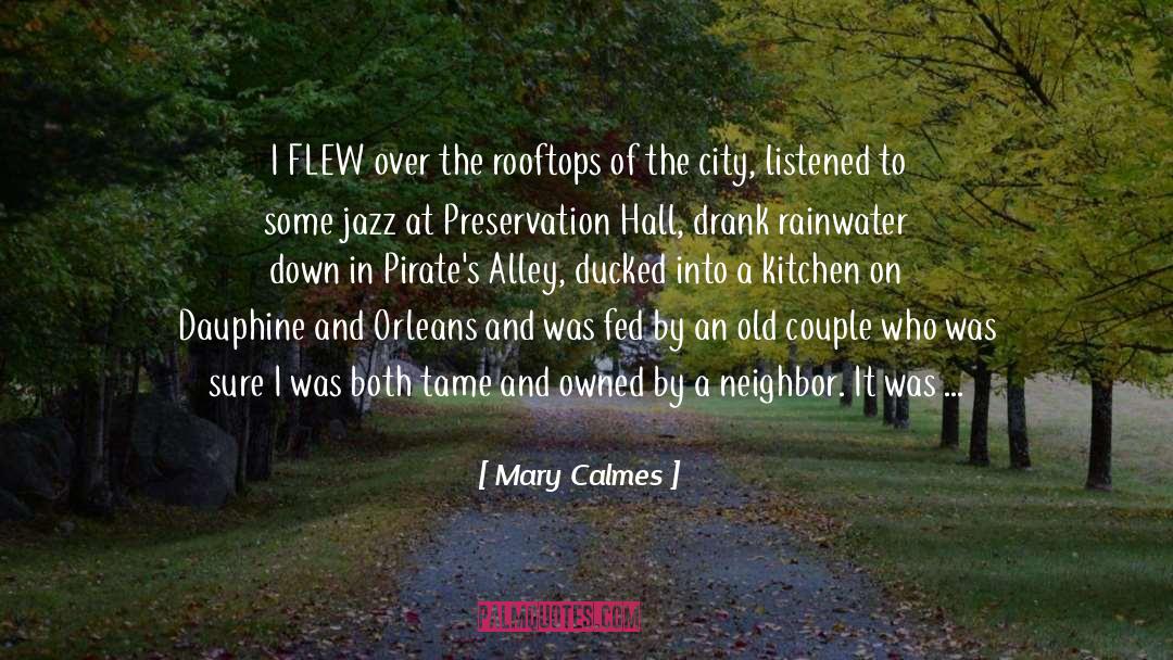 Rainwater quotes by Mary Calmes