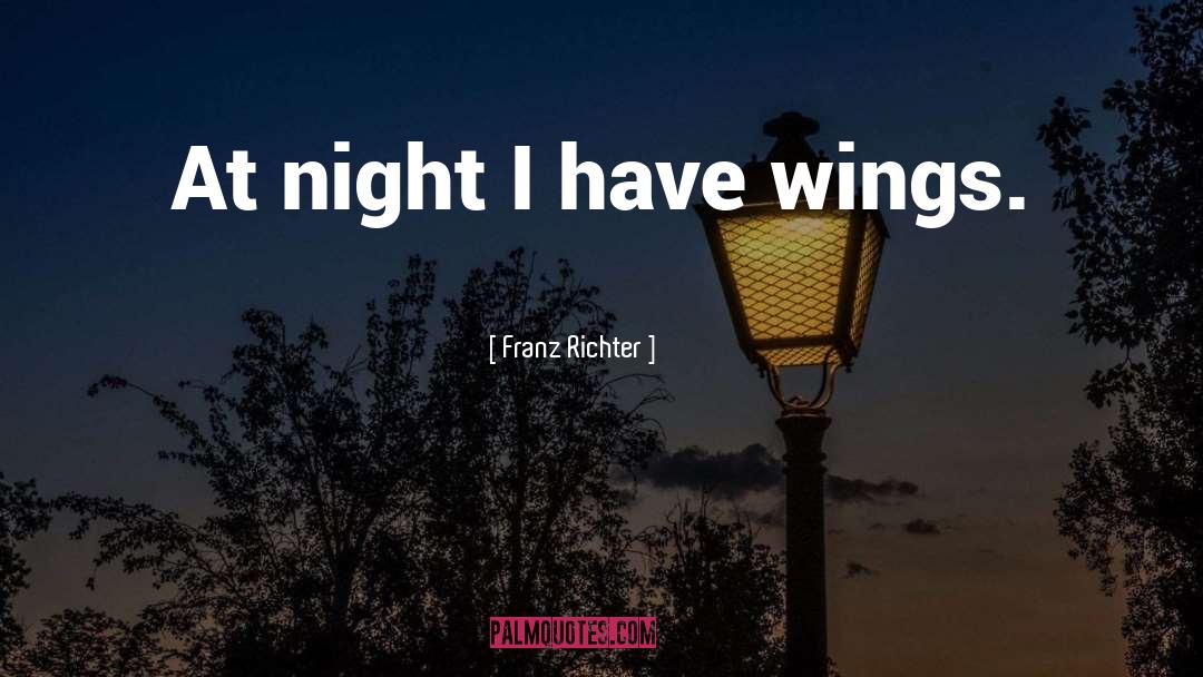Rainwing Wings quotes by Franz Richter