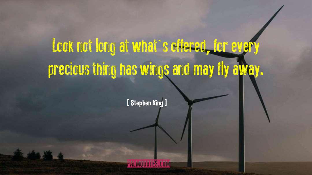 Rainwing Wings quotes by Stephen King