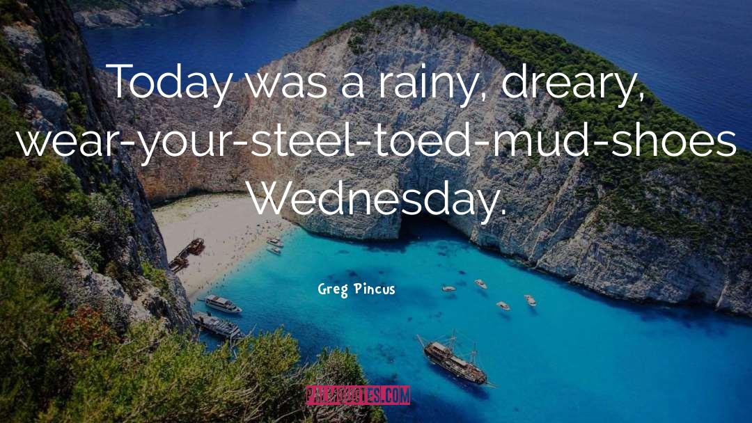 Rainy Day Blessing quotes by Greg Pincus