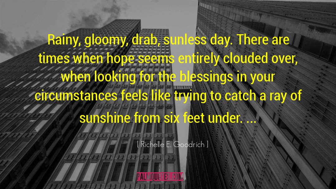 Rainy Day Blues quotes by Richelle E. Goodrich