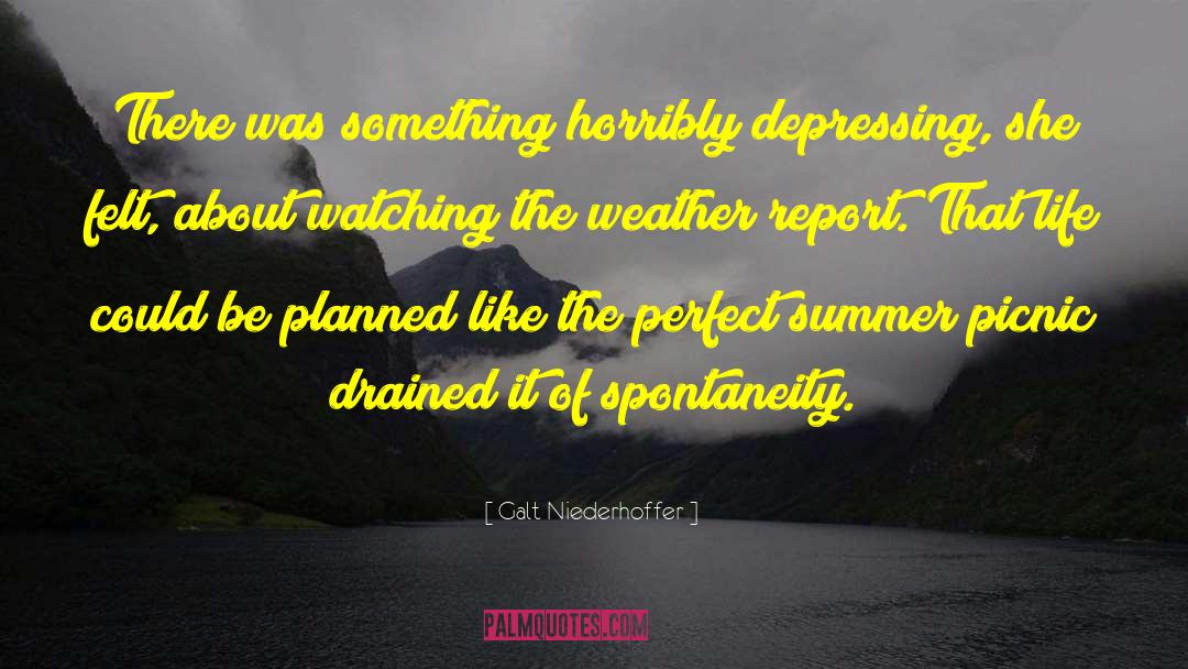 Rainy Day quotes by Galt Niederhoffer