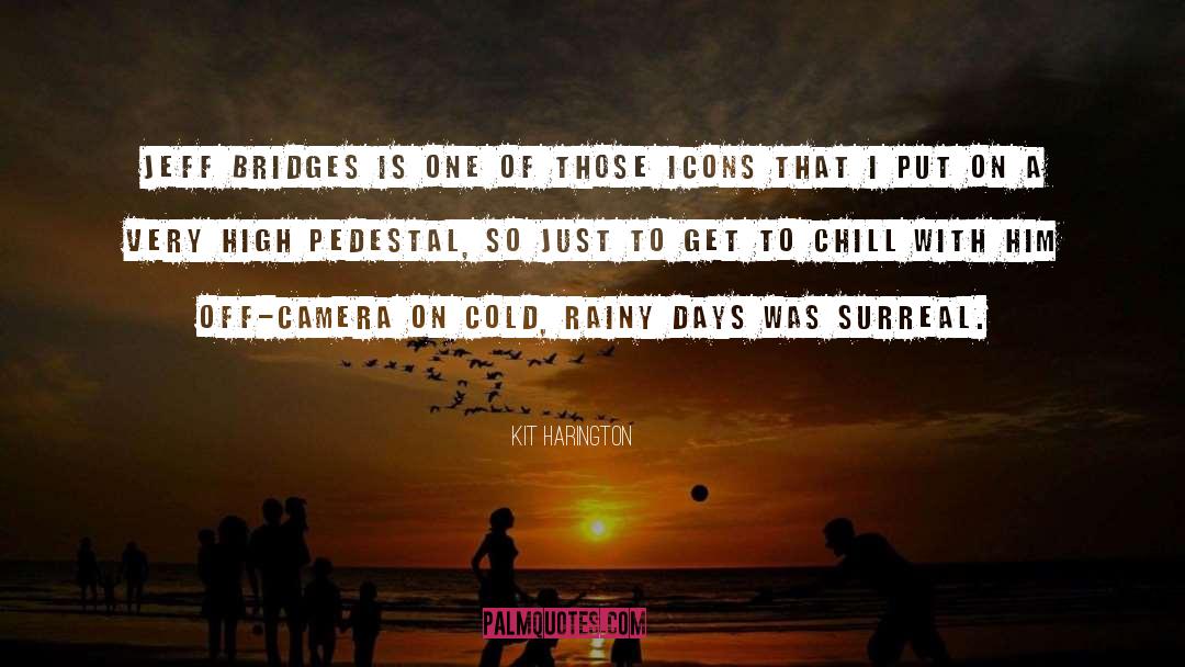 Rainy Days quotes by Kit Harington