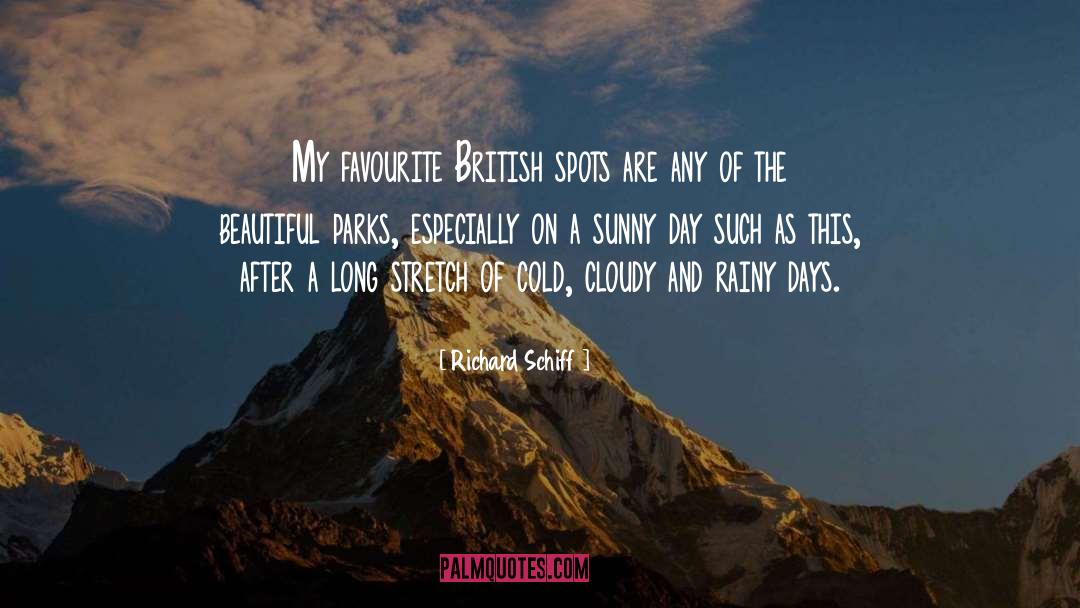 Rainy Days quotes by Richard Schiff