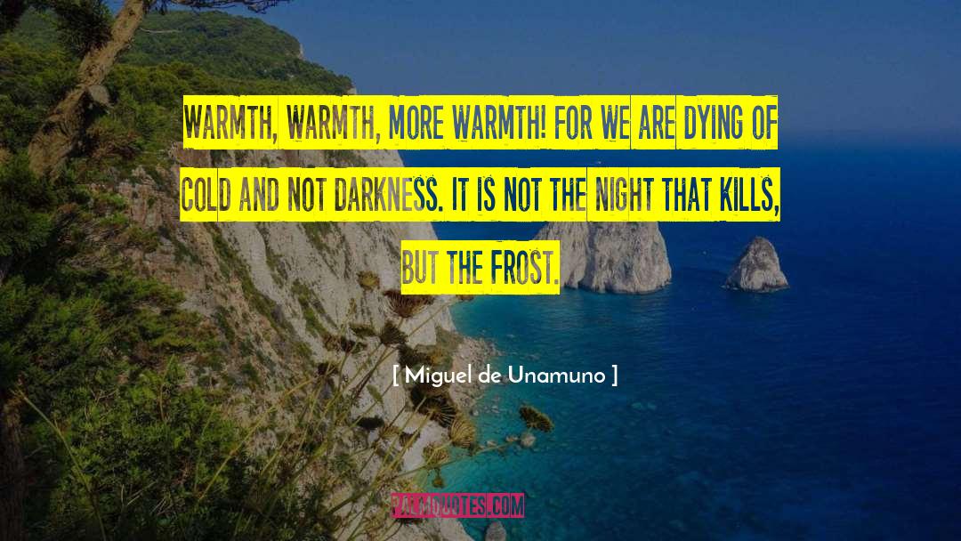 Rainy Night quotes by Miguel De Unamuno