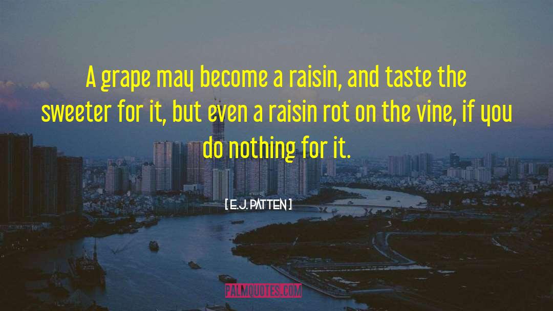 Raisin quotes by E.J. Patten
