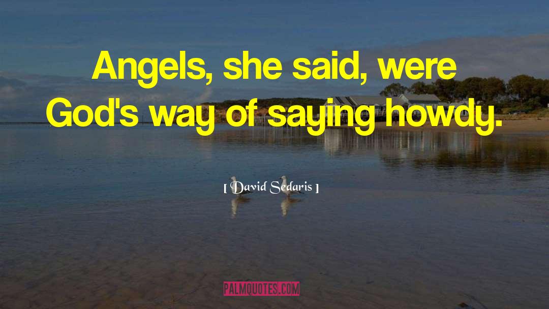Raising Angels quotes by David Sedaris