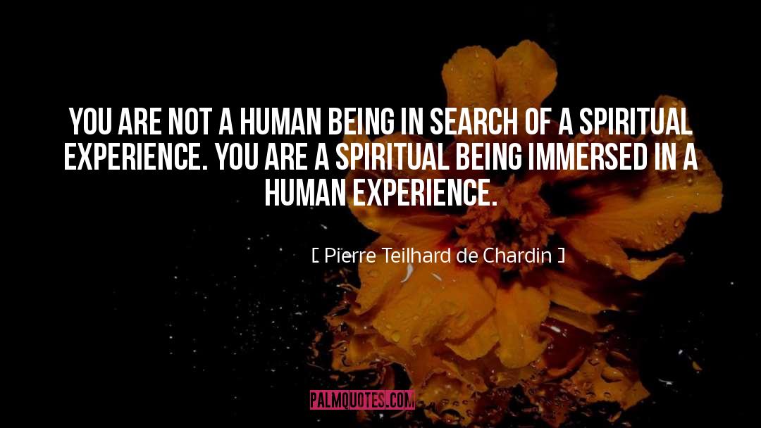 Raiul De Pe quotes by Pierre Teilhard De Chardin