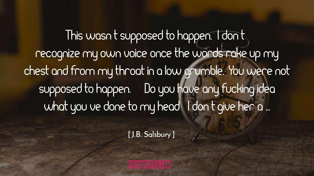 Rake quotes by J.B. Salsbury