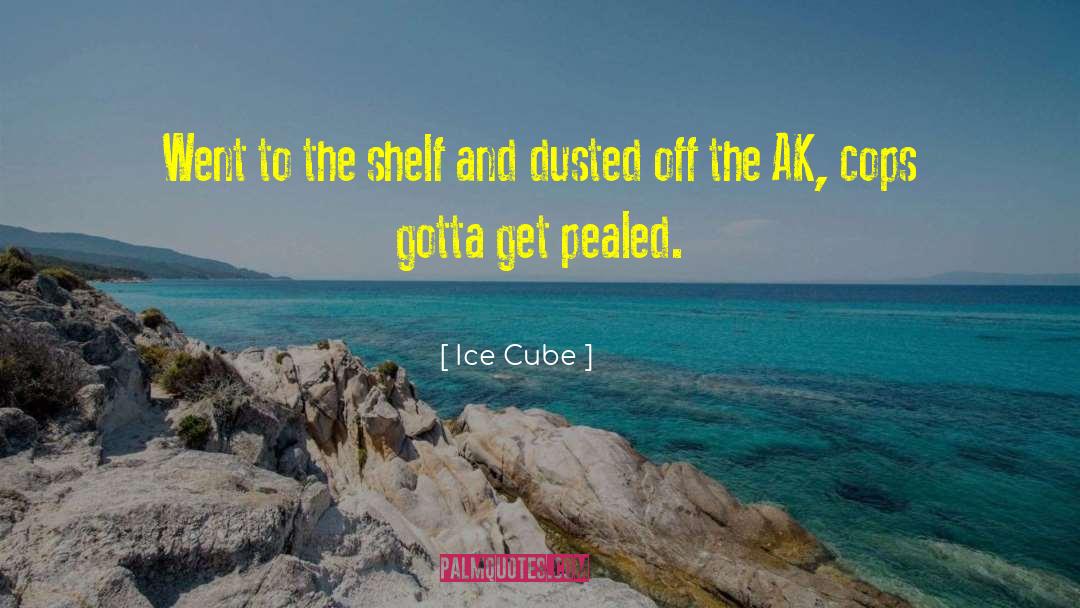 Rakuraku Cube quotes by Ice Cube