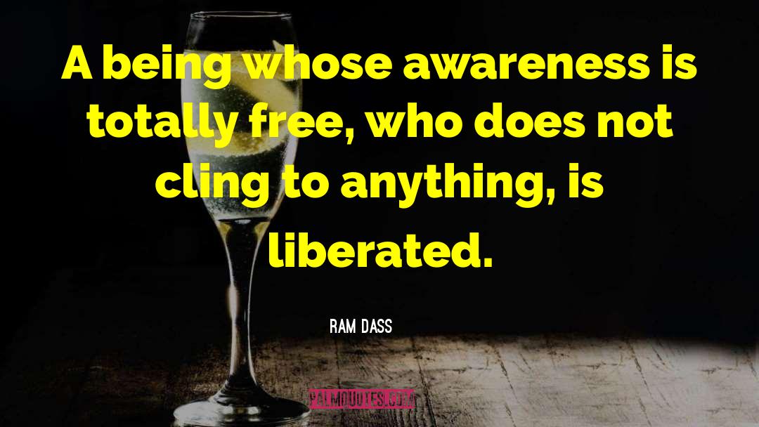 Ram Dass Awareness quotes by Ram Dass