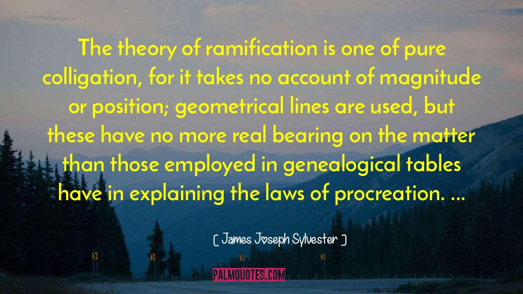 Ramifications quotes by James Joseph Sylvester