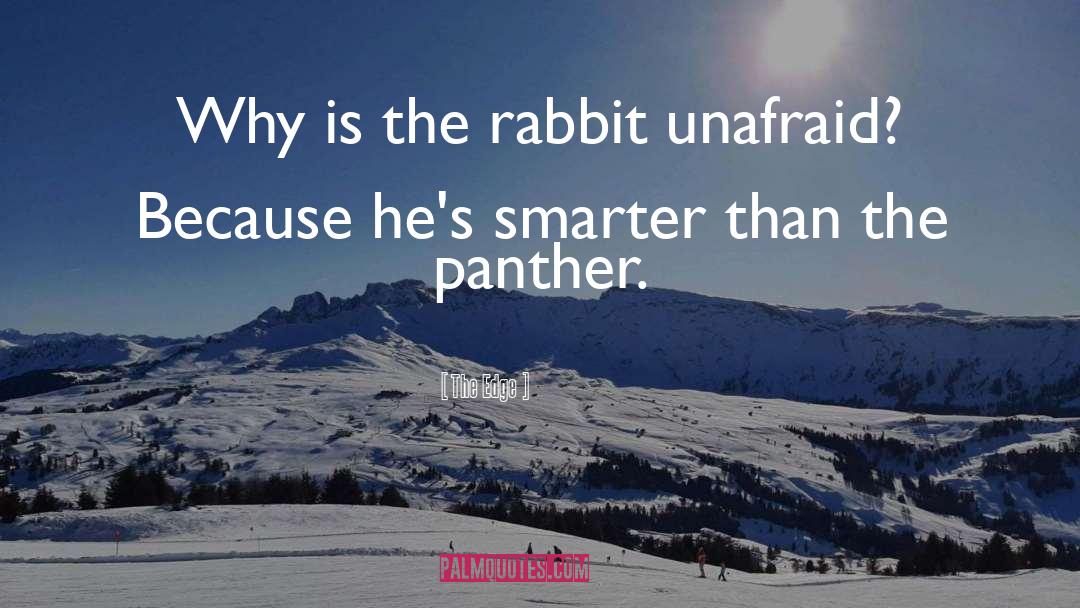Rampant Rabbit quotes by The Edge