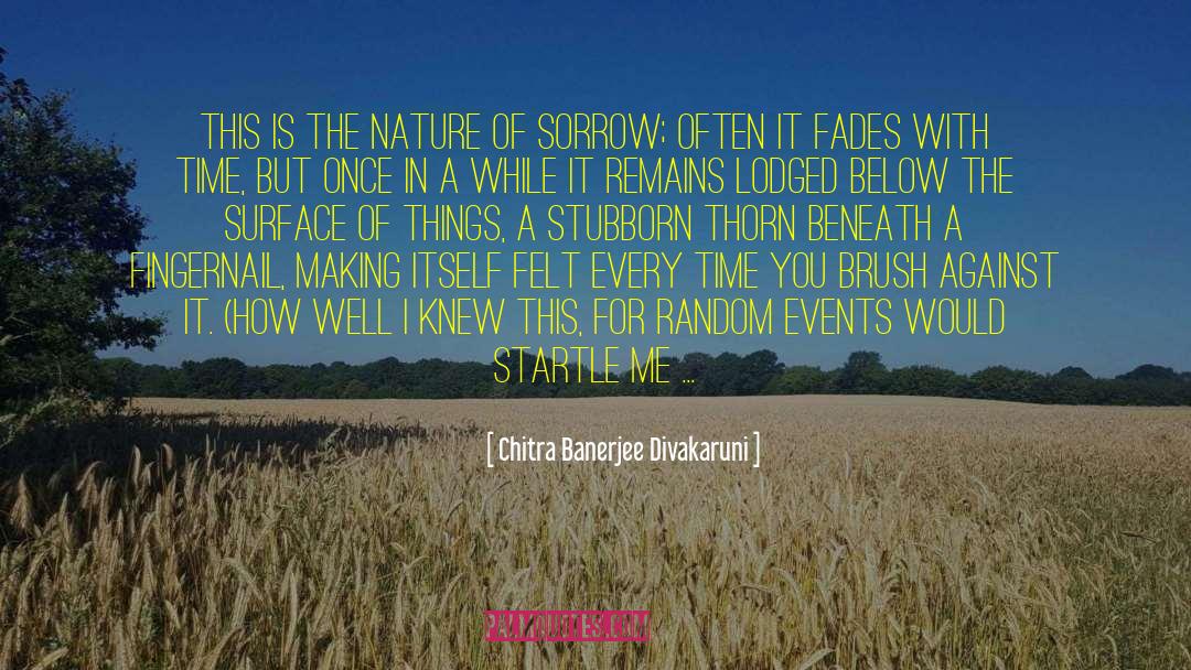 Random Events quotes by Chitra Banerjee Divakaruni