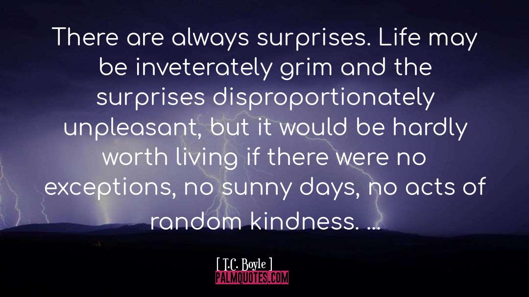 Random Kindness quotes by T.C. Boyle