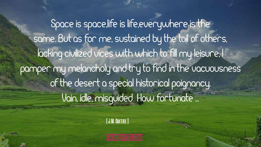 Randomness Of Life quotes by J.M. Coetzee