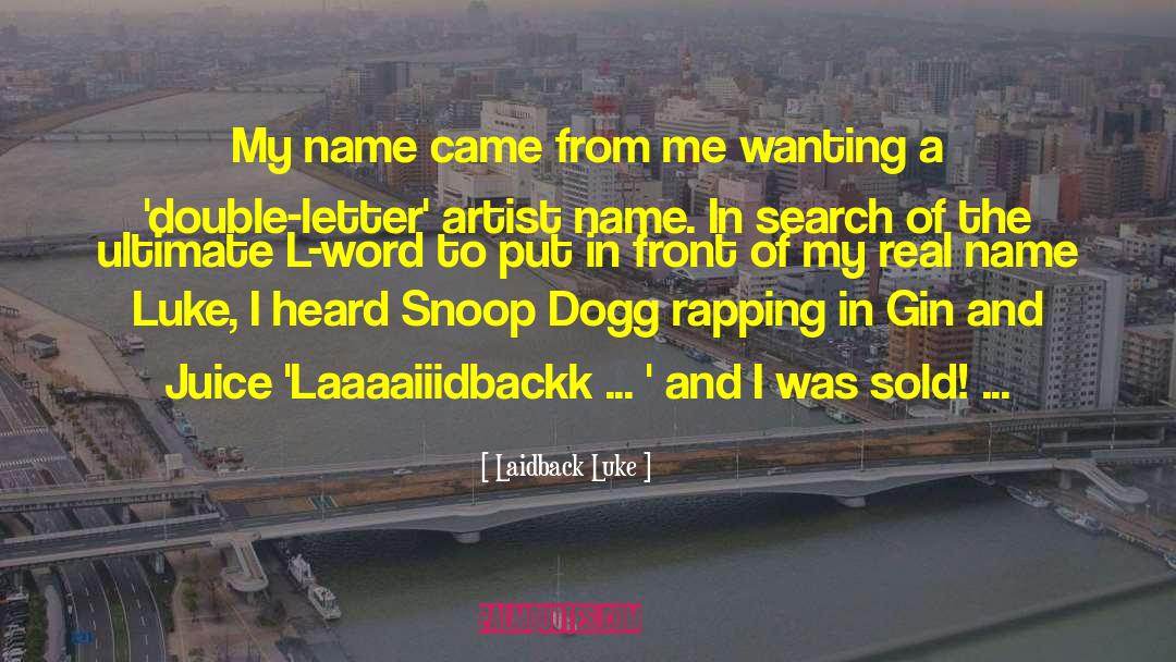 Rap Artist quotes by Laidback Luke