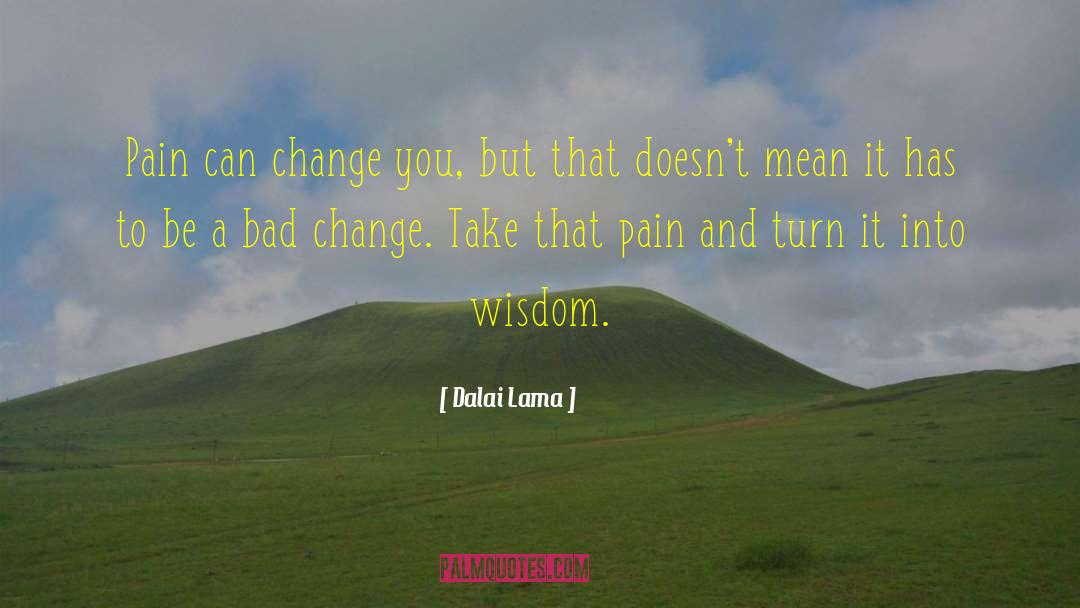 Rapid Change quotes by Dalai Lama