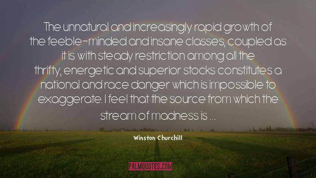 Rapid Growth quotes by Winston Churchill