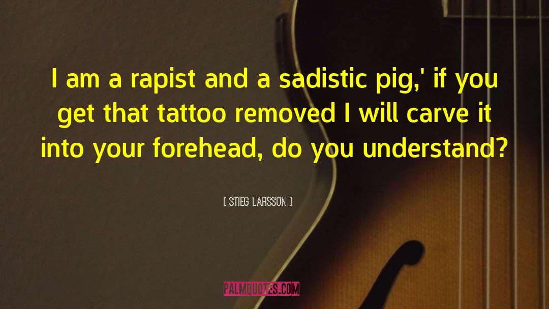 Rapist quotes by Stieg Larsson