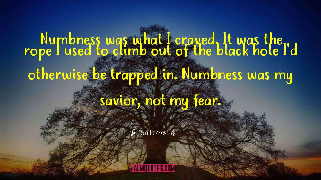 Rappelling Rope quotes by Bella Forrest