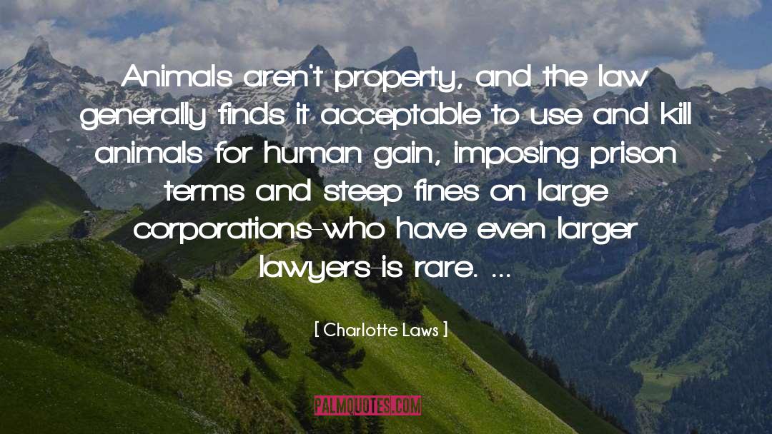 Rare Opportunities quotes by Charlotte Laws